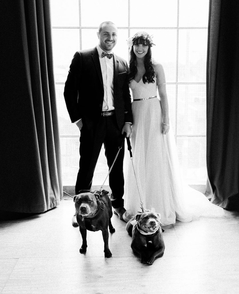 Dogs at Warehouse Wedding