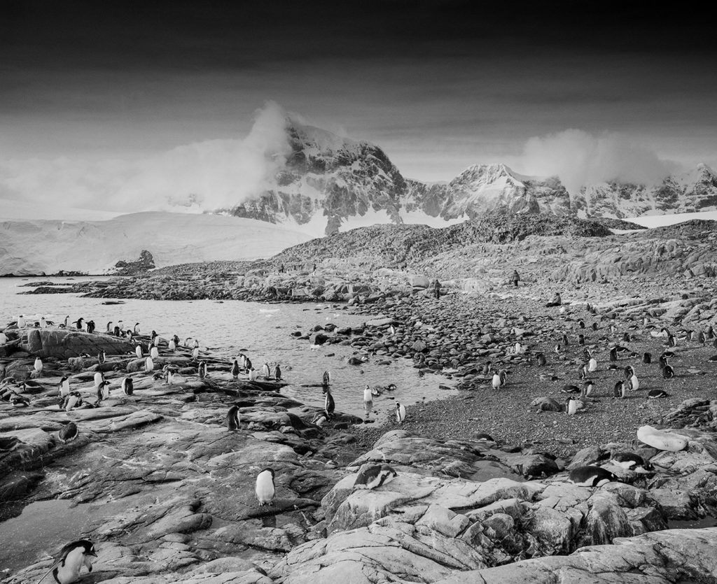 Homeward bound projects Antarctica