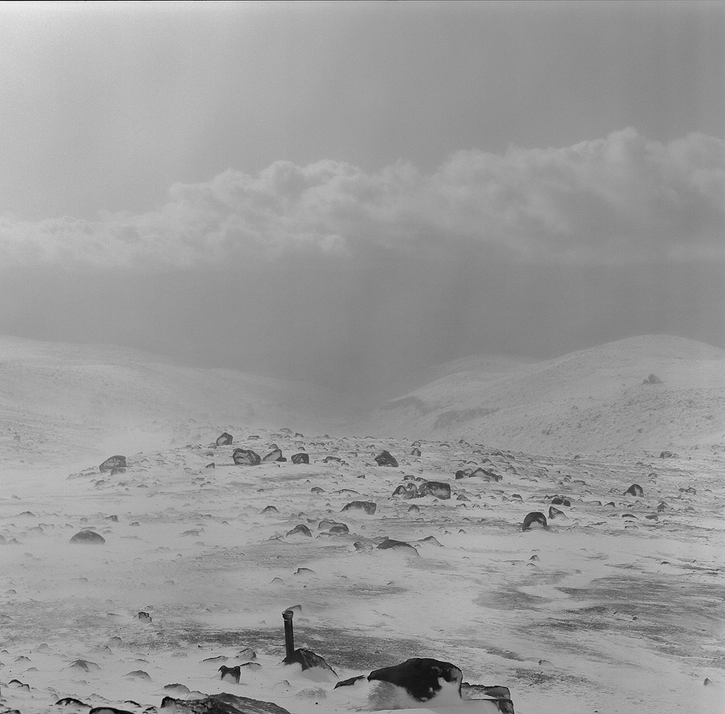New Zealand Blizzard