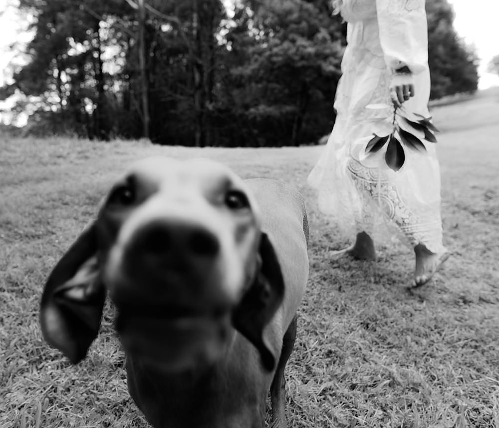 Fremantle wedding photographer