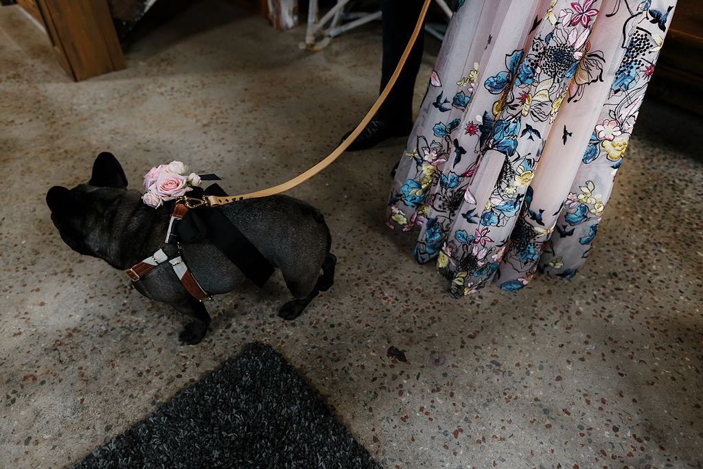 Bride with her dog at wedding