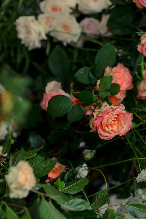 Unique Melbourne Florists: Georgie Boy