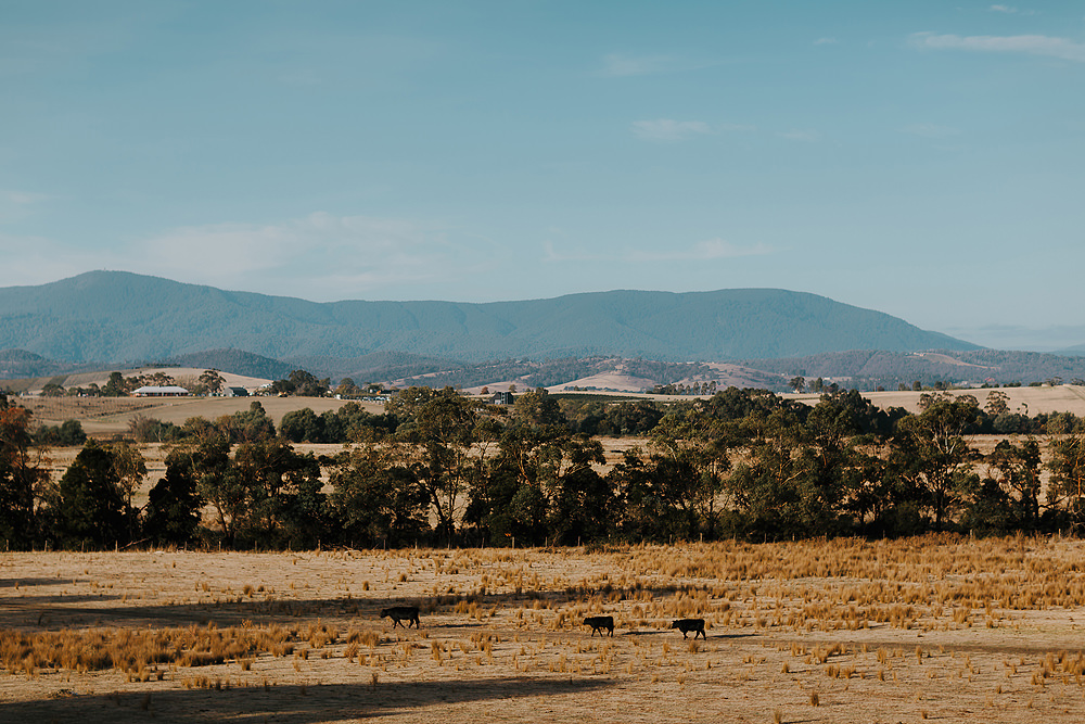Yarra Valley Wedding Photographer