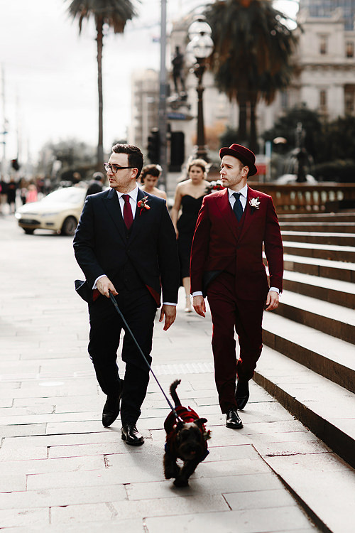 gay wedding photographer dog melbourne