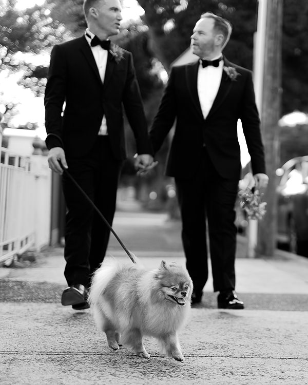 gay wedding photographer melbourne