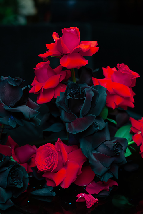 Unique wedding florist in Melbourne - the Flower District