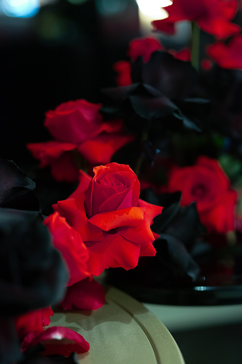 Unique wedding florist in Melbourne - the Flower District