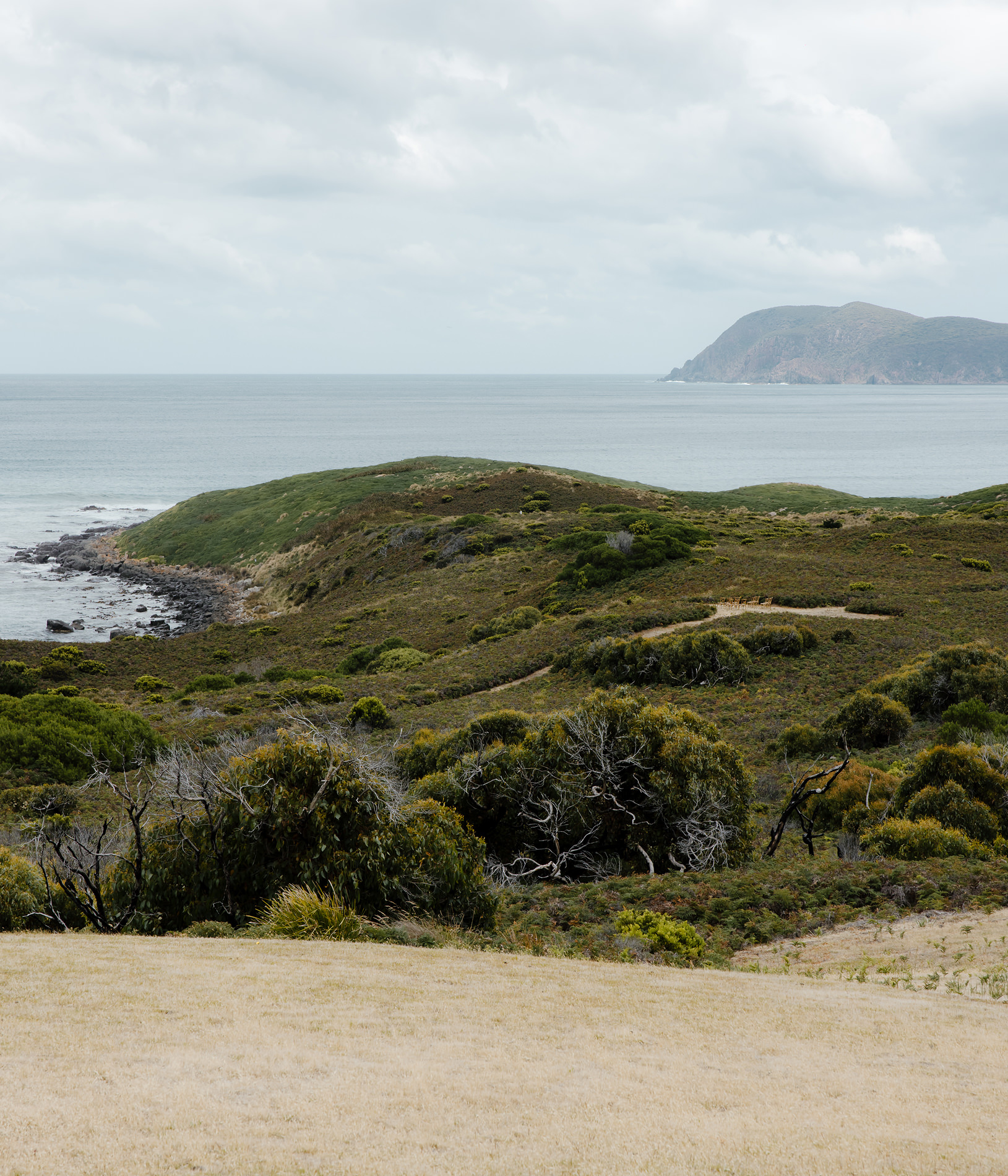 Bruny Island Wedding photos