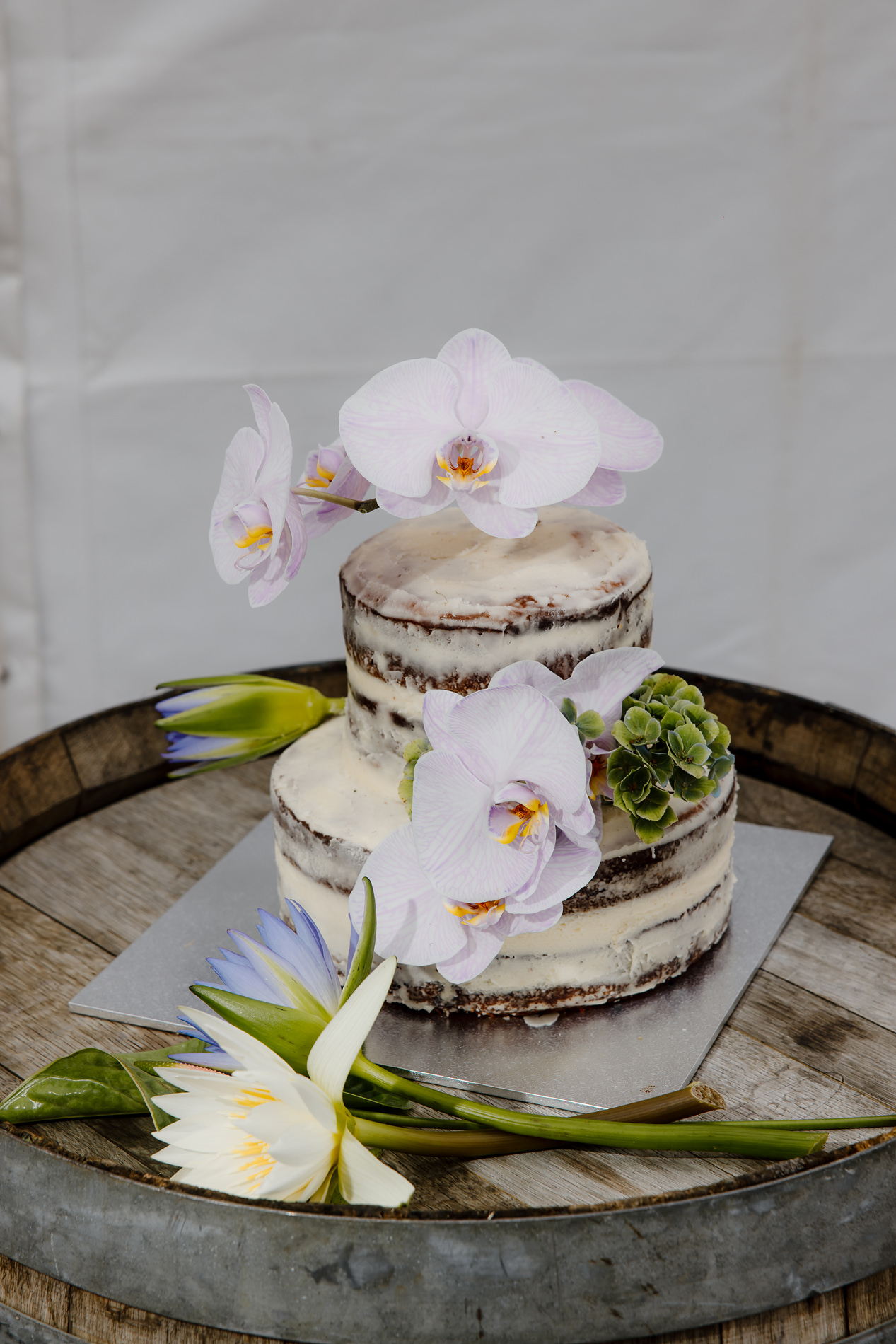 Bruny Island Wedding photos