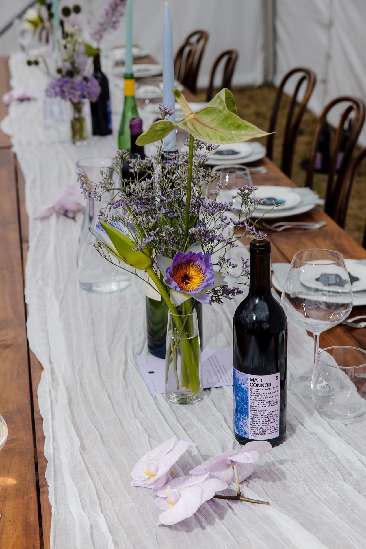Bruny Island Wedding photos