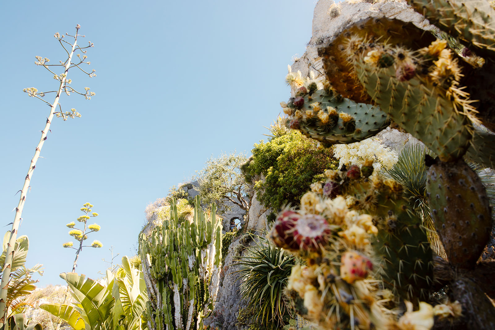 Eze France wedding elopement photos, Le Jardin Exotique